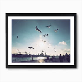 Seagulls at Hamburg Harbour 1 Art Print