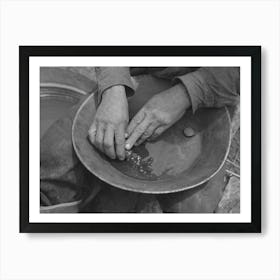 Pouring Mercury From Small Tube Into Pen Which Contains Flour Gold Mixed With The Natural Dirt Art Print