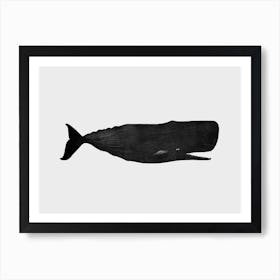 Sperm Whale Art Print