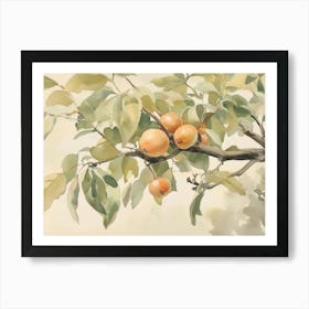 Pear Tree Art Print