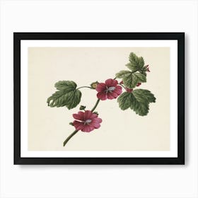 Hibiscus 3 Art Print