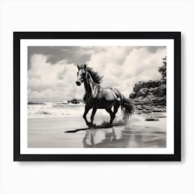 A Horse Oil Painting In Hyams Beach, Australia, Landscape 1 Art Print