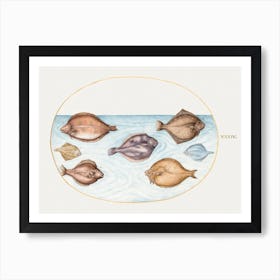 Seven Flatfish (1575–1580), Joris Hoefnagel Poster