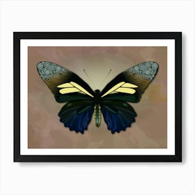 Mechanical Butterfly The Battus Crassus On A Beige Background Art Print