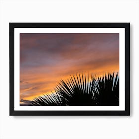 Palm leaves and colourful clouds at sunset Art Print