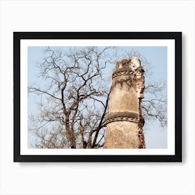 Ruins in India  Art Print