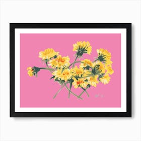 Yellow Dandelions On Pink Art Print