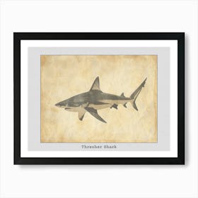 Thresher Shark Silhouette 7 Poster Art Print