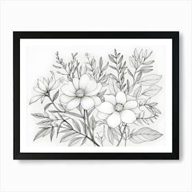 Black And White Drawing Of Flowers 2 Art Print