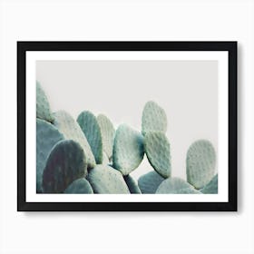 Opuntia Cactus Art Print