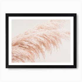 Dried Pampas Art Print