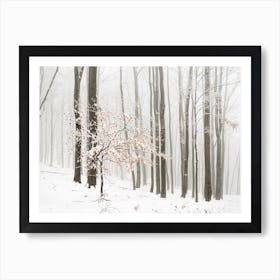 Winter forest in fog Art Print