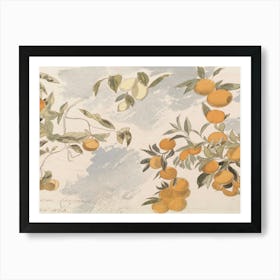 Oranges On A Tree Art Print