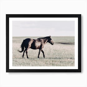 Black Horse Art Print