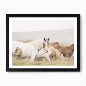 Paint Horse Scenery Art Print