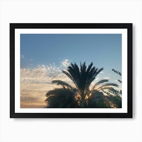 Sunset With Palm Trees Art Print