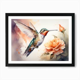 Hummingbird With Roses Paintings Art Print Art Print