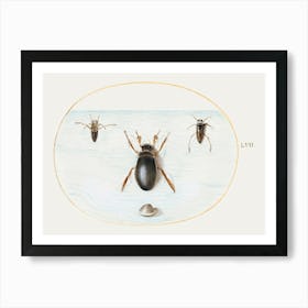 Diving Beetle And Backswimmer (1575–1580), Joris Hoefnagel Art Print