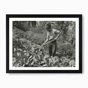 Spanish American Farmer Working In His Garden, Chamisal, New Mexico By Russell Lee Art Print