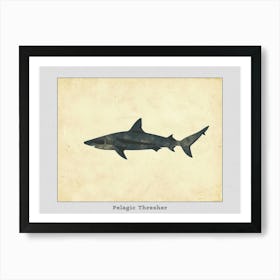 Pelagic Thresher Shark Grey Silhouette 3 Poster Art Print