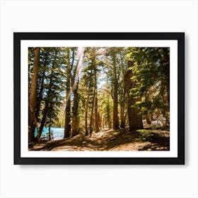 Mcleod Lake Trail Art Print