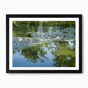 Water lilies and reflection of trees in a pond Art Print