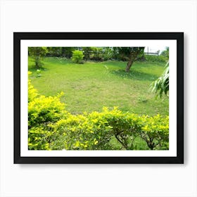 Garden 2 By Binod Dawadi Art Print