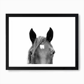 Peeking Horse Art Print