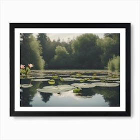 Lily Pads In A Pond Art Print