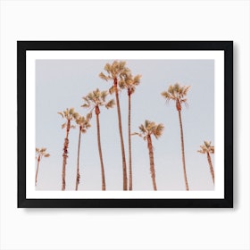 Palm Trees II Art Print