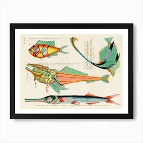 Colourful And Surreal Illustrations Of Fishes Found In Moluccas (Indonesia) And The East Indies,, Louis Renard(91) Art Print