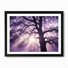 Silhouette Of A Large Tree With Sun Shining Through Its Branches And A Purple Toned Background Art Print