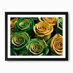 Yellow Roses 1 Art Print