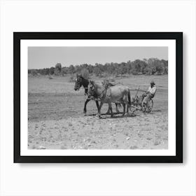 Untitled Photo, Possibly Related To Faro Caudill Planting Beans, Pie Town, New Mexico By Russell Lee Art Print