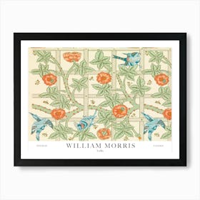 William Morris Prints Birds Trellis Original Landscapes Landscape Botanical Vintage Art Print