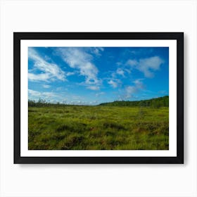 Grassland With Blue Sky Art Print