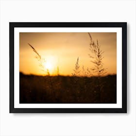 Silhouette of a Yellow Sunset // Nature Photography Art Print