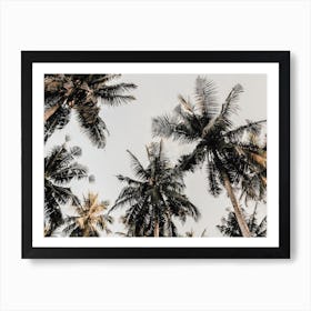 Warm Tropical Palm Trees Art Print