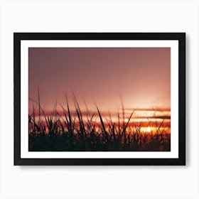 Sunset Over Grass Art Print