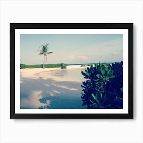 Beach With Palm Trees maldives Art Print