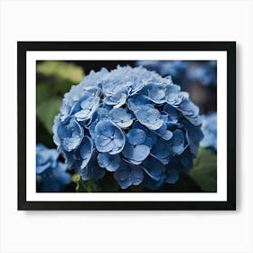 Blue Hydrangea paintings art print Art Print