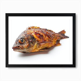 Grilled Fish 1 Art Print