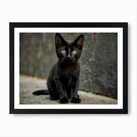 Black Cat With Yellow Eyes 1 Art Print