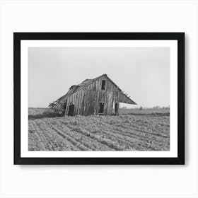 Abandoned Tenant Farmhouse In Field Of Cotton In Wagoner County, Oklahoma By Russell Lee Art Print