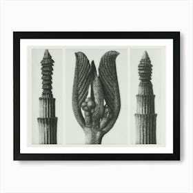 Winter Horsetail And Californian Bearberry, Karl Blossfeldt Art Print