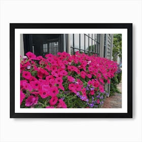 Pink Flower Box (Nantucket Series) Art Print