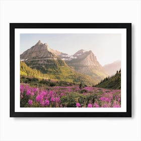 Mountain Wildflowers Art Print