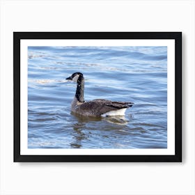 Goose Covered In Ice Art Print