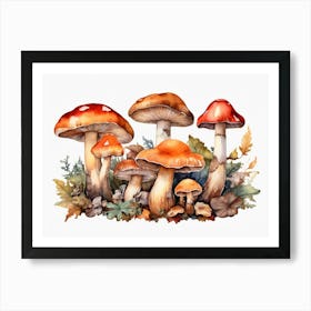 Watercolor Mushrooms Art Print