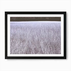 Surreal Blue Alien Tall Grass Landscape in Trent Park Art Print